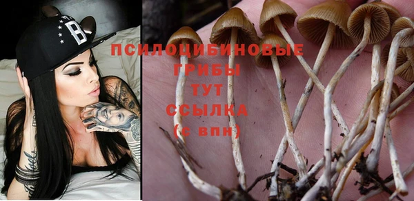 COCAINE Горнозаводск