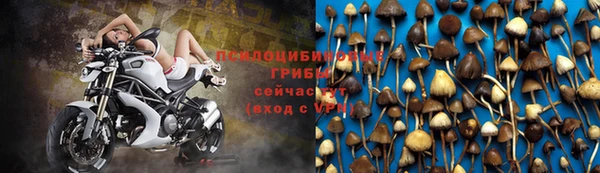 прущие крисы Горно-Алтайск