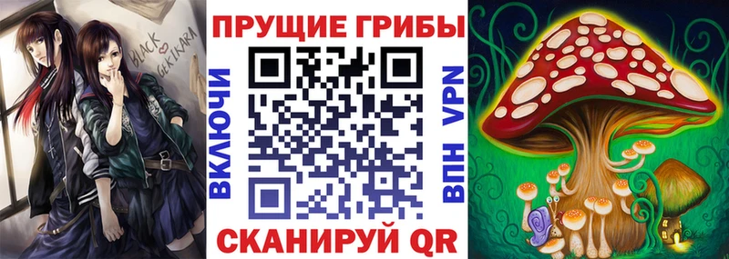 где можно купить   Железногорск-Илимский  Галлюциногенные грибы Psilocybe 